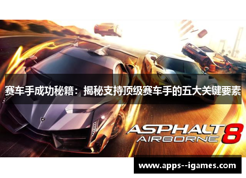 赛车手成功秘籍：揭秘支持顶级赛车手的五大关键要素